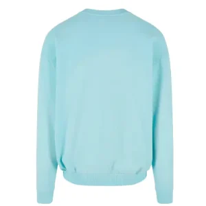 Karl Kani Light Blue Crew Sweater-back