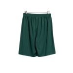 Karl Kani Pinstripe Green Shorts mit modernem Streetwear-Design