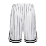 Karl Kani Small Signature Pinstripe White Shorts-back